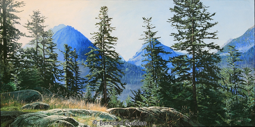 Aigues tortes Pyrénées Espagne acrylique