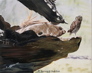 Peinture Grand cormoran, Bernard Guédon