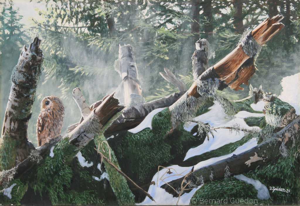 Chouette hulotte sur un tronc.Huile sur toile Bernard Guédon