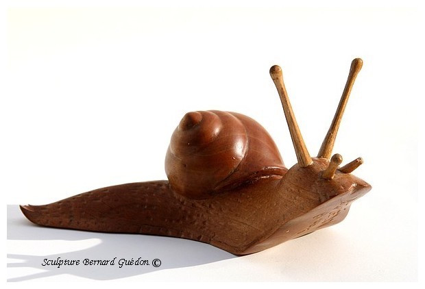 Sculpture en bois, Escargot. B.Guédon