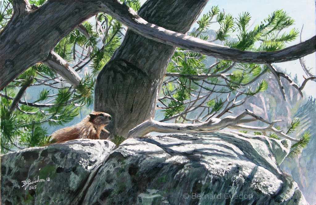 Marmotte sur le chemin , peinture acrylique