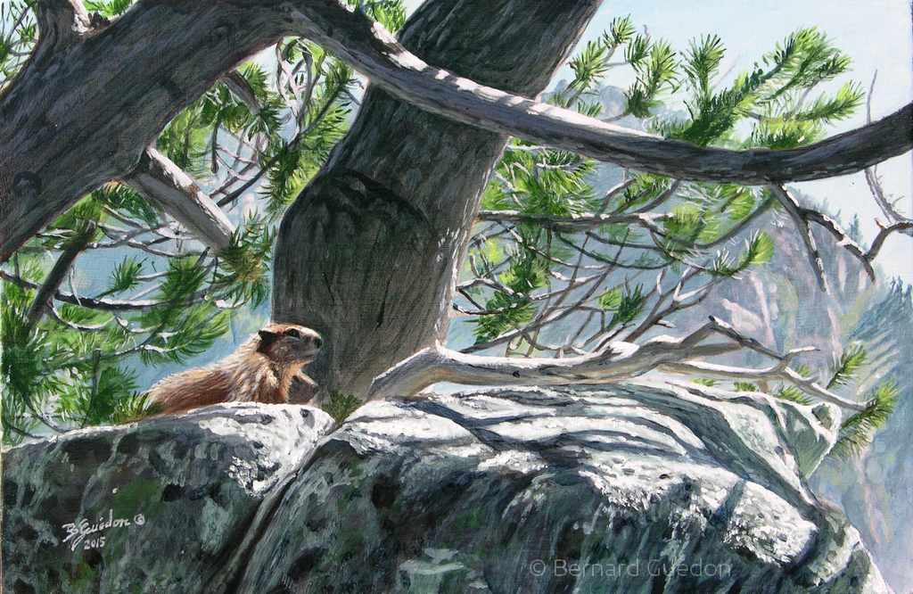 Marmottes sur le chemin du lac du milieu .Acrylique sur toile Bernard Guédon