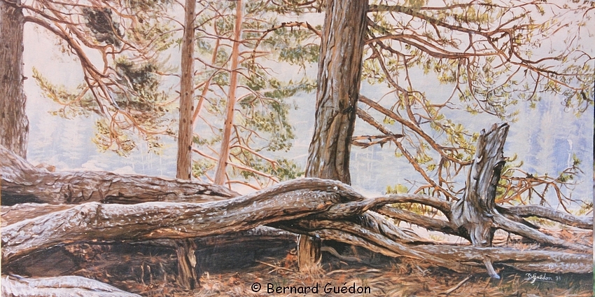 Racines,peinture acrylique B.Guédon