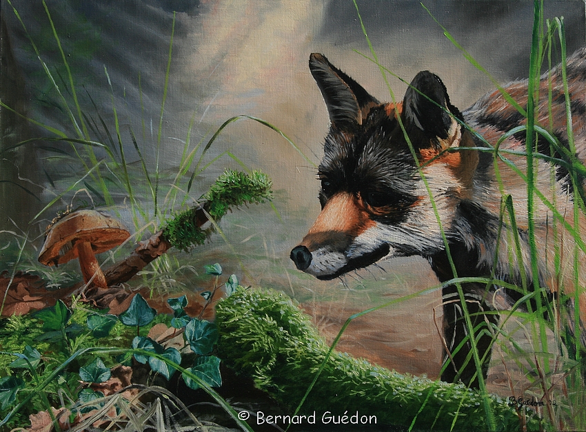 Renard mousse.Peinture sur toile Bernard Guedon.